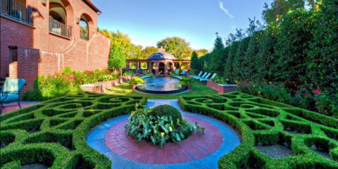 Rychle rostoucí hospodářská zvířata (65+ fotografií s tituly): nejlepší trvalka a stálezelené rostliny a keře